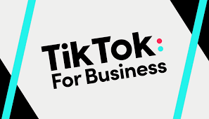 Gestione TikTok Ads